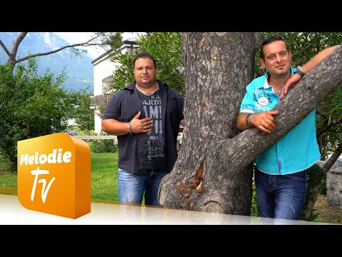 Sunrise - Hitmix ihrer ersten Erfolge (Offizielles Musikvideo)