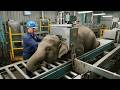 Inside The CG FACTORY The Elephant Processing Protocol ️