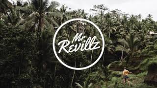 James Hype feat. Craig David - No Drama