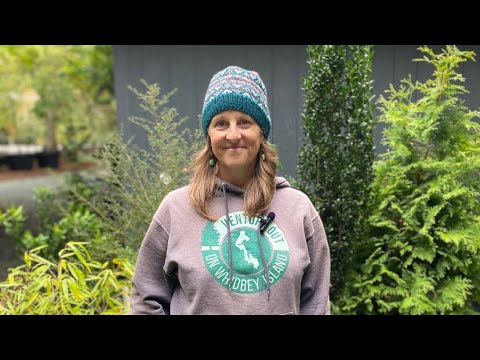 Best Plants for Privacy and Screening