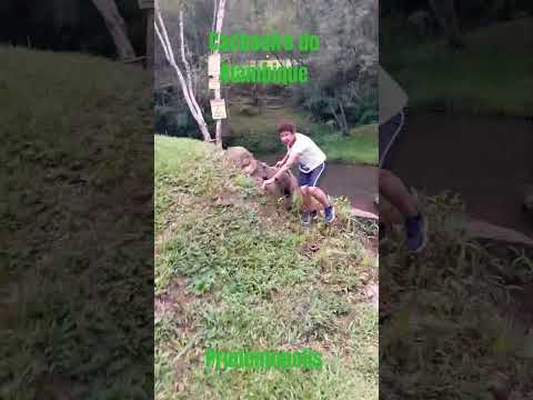 Cachoeira do Alambique Prudentópolis Paraná