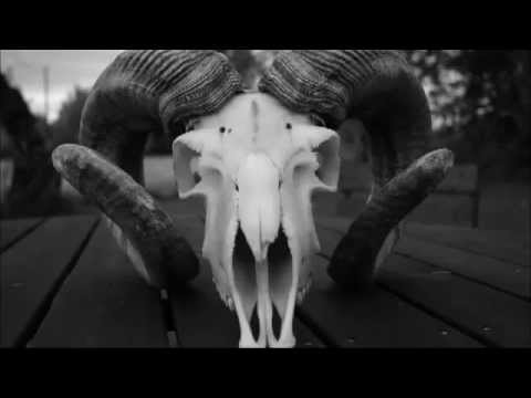 Shitmat - That Goat's Skull Is No Good For Thirsty Psy-trance Workers