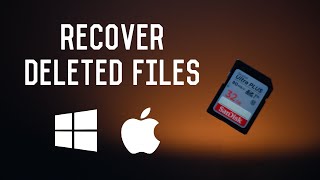 How to Recover Deleted Files off an SD card