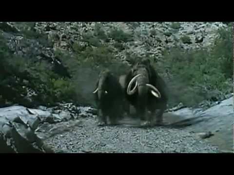 download lagu mp3 mp4 Caza De Mamut, download lagu Caza De Mamut gratis, unduh video klip Caza De Mamut