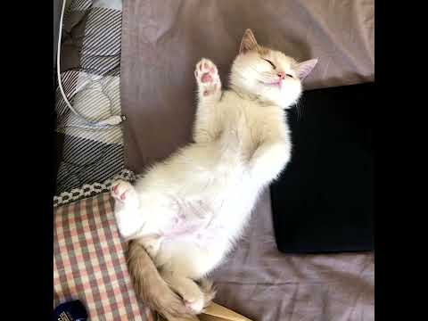 M!$ter K / 网上邻居official - 回到从前