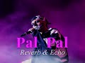 PAL PAL Talwinder X Afusic Reverb Echo