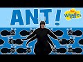 The Wiggles: Anthony Ant | Kids Songs | Alphabet Song | Animal Song | Letter A Song