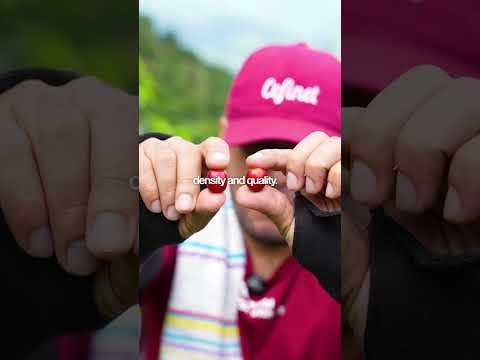 Maragesha, Jardines del Encanto, Pijao, Quindío🌿