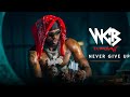 Diamond Platnumz Never Give Up Official Video