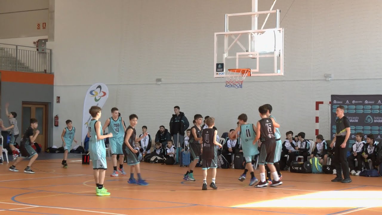 Manilva acoge el Campeonato A8 Minibasket del 17 al 19 de enero