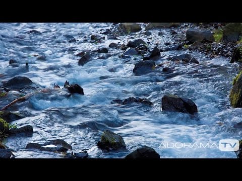 download lagu mp3 mp4 Sutton Images Jobs, download lagu Sutton Images Jobs gratis, unduh video klip Sutton Images Jobs