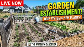 Livestream Gardening: Prepping for & Planting Tomatoes