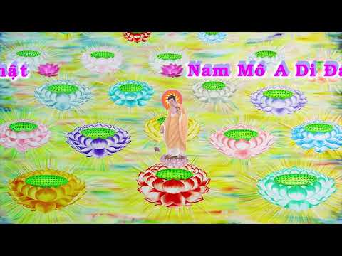 HD | Kinh A Di Đà Sớ Sao Diễn Nghĩa, tập 218 [phụ đề] - Lão Pháp Sư Tịnh Không