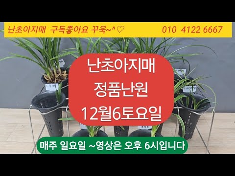 유튜브 썸네일