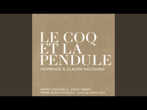 IL FAUT TOURNER LA PAGE (feat. David Linx)