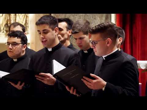 Komorni zbor bogoslova CBS -  Majko naša, rajska slavo (Koncert "Ususret Božiću" 2019. LIVE)