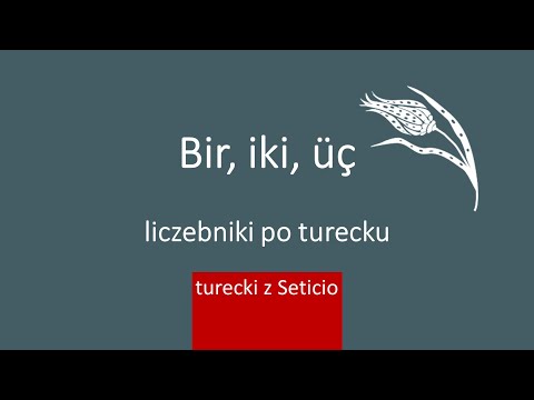 8. Turkish with Seticio - Lesson 8 - Cardinal Numbers in Turkish