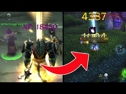 LVL 70 FULLY GEARED Druid VS 60-69 WSG