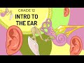 INTRO To The Structure Of The EAR UPDATED The Main Structures And Their Functions