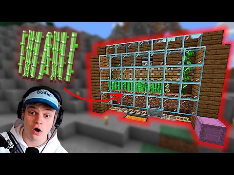 NEM AUTOMATISK SUGARCANE FARM! - Minecraft: Ep 39