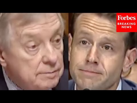 'Did Meta Compensate Any Of The Copyright Owners?': Dick Durbin Questions Lawyer Who Sued Meta