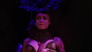 Brisbane Festival 2017