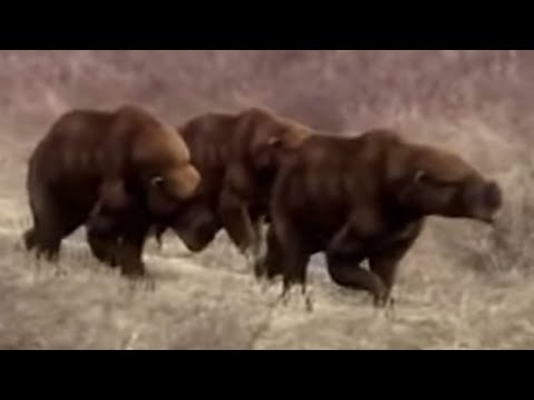 Prehistoric Assassins [2010] - Diprotodon Screen Time