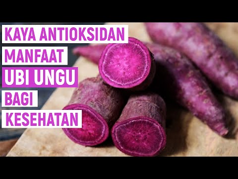 KAYA ANTIOKSIDAN !! 9 MANFAAT UBI UNGU BAGI KESEHATAN