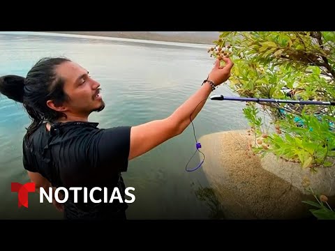 Habla esposa del biólogo estadounidense asesinado en Sonora | Noticias Telemundo