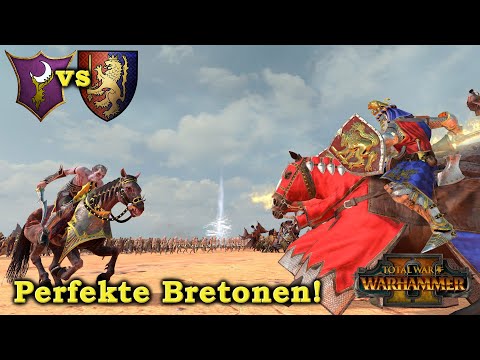 Perfekte Bretonen vs Dunkelelfen - Multiplayer - Total War: Warhammer 2 deutsch