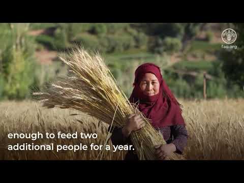 FAO Global Emergency and Resilience Appeal 2026