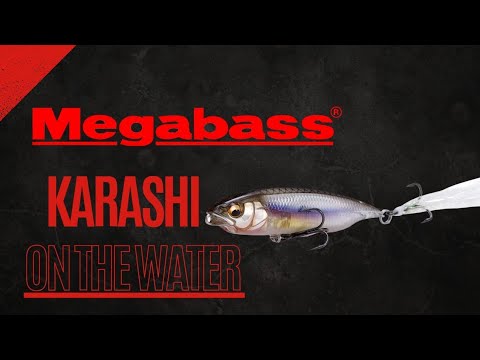 I fished ONLY the Megabass Karashi. THIS is what happened!