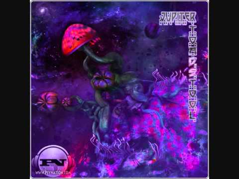 Will O' Wisp - You Know is True