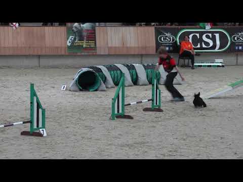 WAO Memories of Hitchcock 2017 and 2018