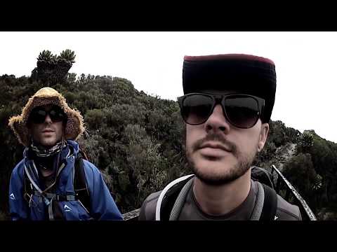 The Parlotones - We Were Just Having Fun (Official Music Video)