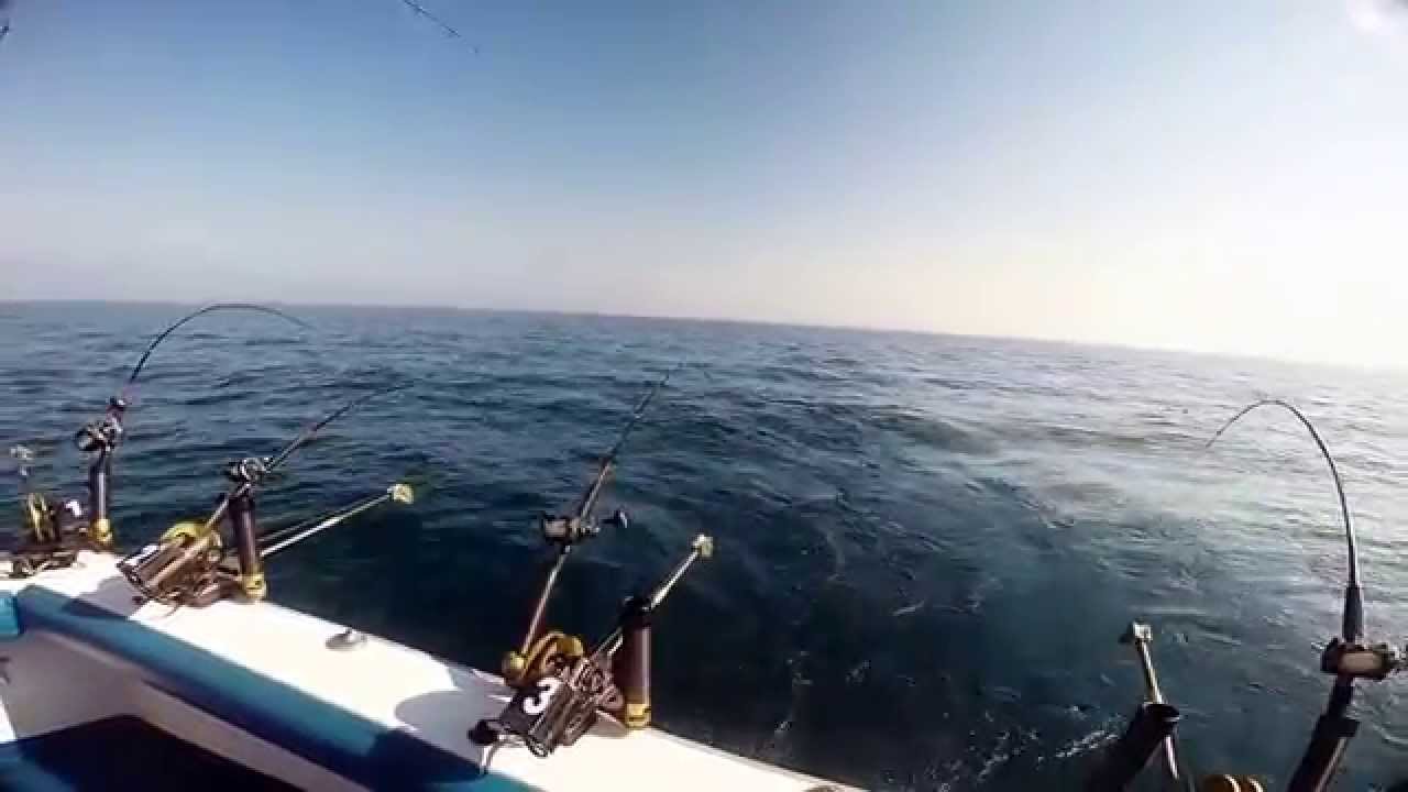 Best of 2014 Season, ANGLER CHARTERS