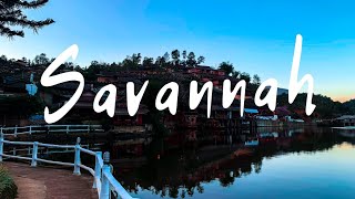 Download lagu Avicii & Kygo Style - Savannah(Lyrics) mp3 Download lagu Avicii & Kygo Style - Savannah(Lyrics) mp3