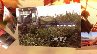 preview picture of video 'Kingsburg Cultivator, Inc - Kingsburg Cultivator, Inc'