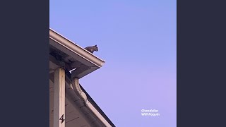 Cover art for chandelier