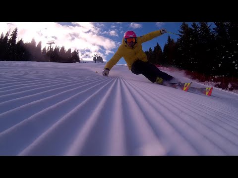 Ski Carving. Fischer The Curv in Borno Monte Altissimo