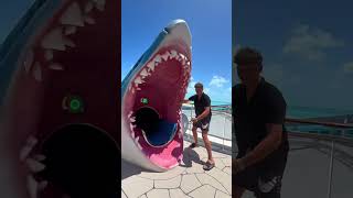 Cruises are BORING! 😴