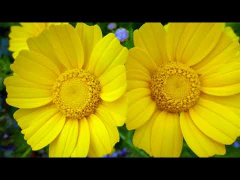 2018.03.25 EURO-Trip ITALIEN - SIZILIEN 2017/18 Zwischen MEERESRAUSCHEN und BLÜTENDUFT