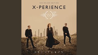 Magic Fields (555 Version)