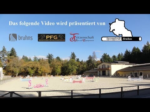 KURZER AUSRITT BEI SPORTPFERDE BRUHNS #unserenpferdengehtesgut