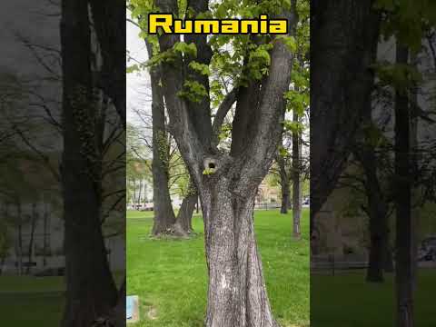 Rumania