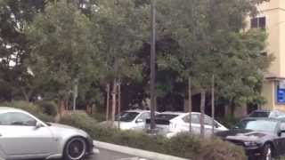 Watch your watering for healthy plants