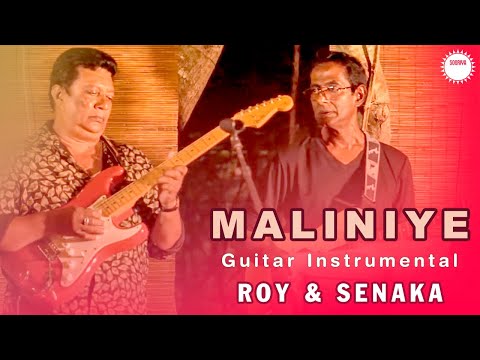 Maliniye Guitar Instrumental by Roy & Senaka (Hiru Pibidena Wita)