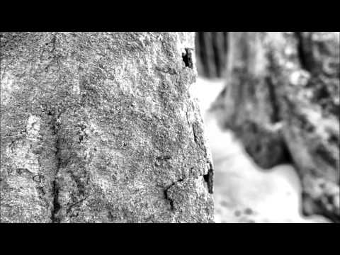 Predigt über Veränderung Jeremia 18