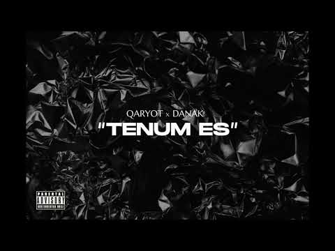47 x DANAK - TENUM ES / 21 +