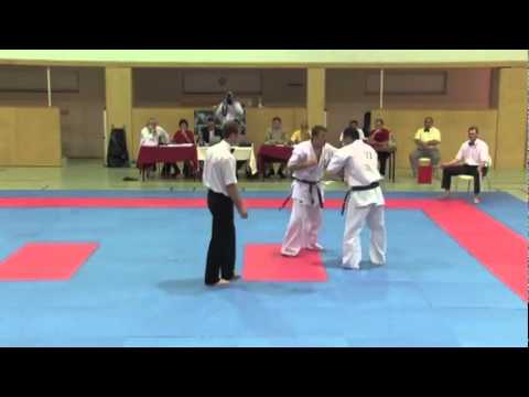 Suliman vs. Stalev - VIENNA OPEN - Erstes offenes internationales Kyokushin-Kan Karate Turnier